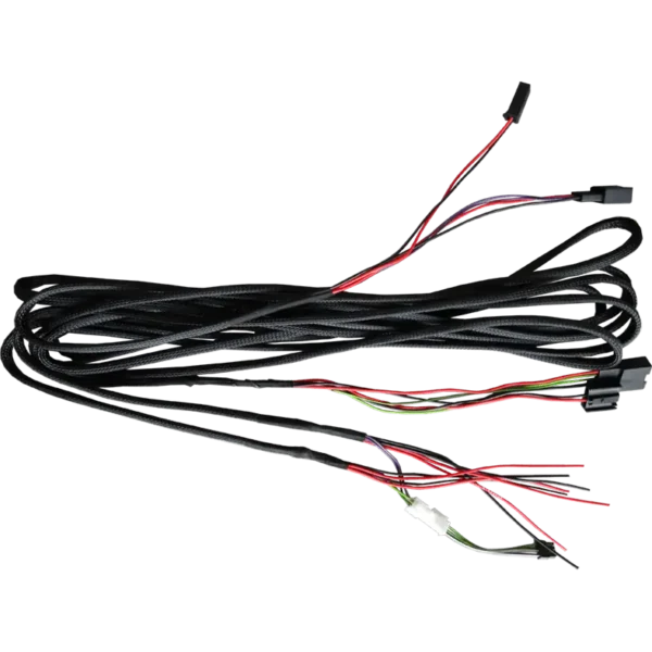 Cableado de conexión GZCS 4.0BMW