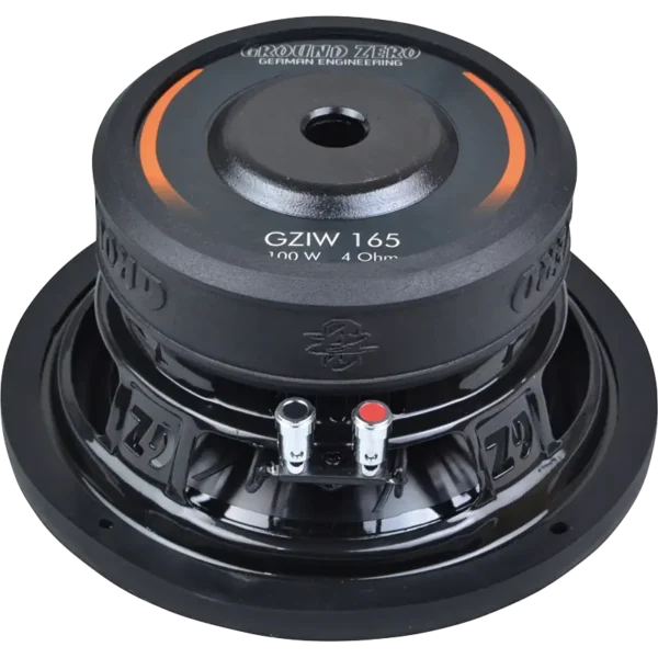 GZIW 165 - Imagen 2